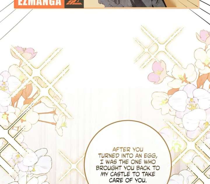 Image page 10