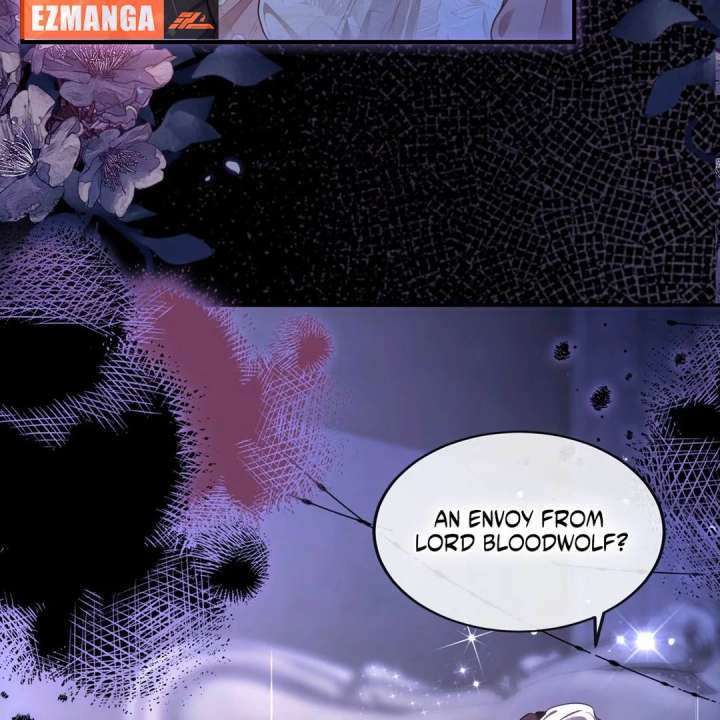 Image page 8