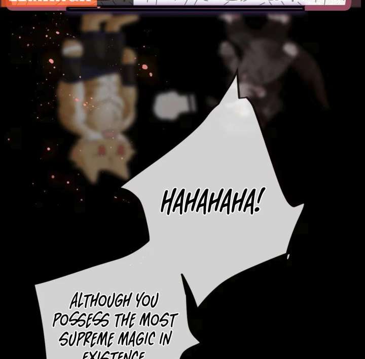 Image page 13