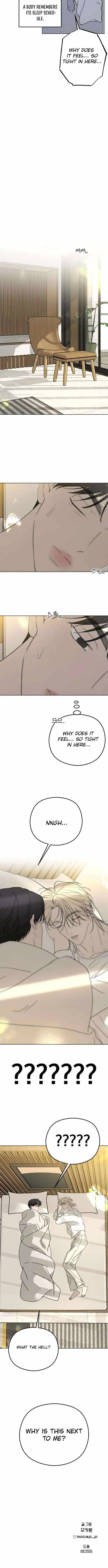 Image page 13