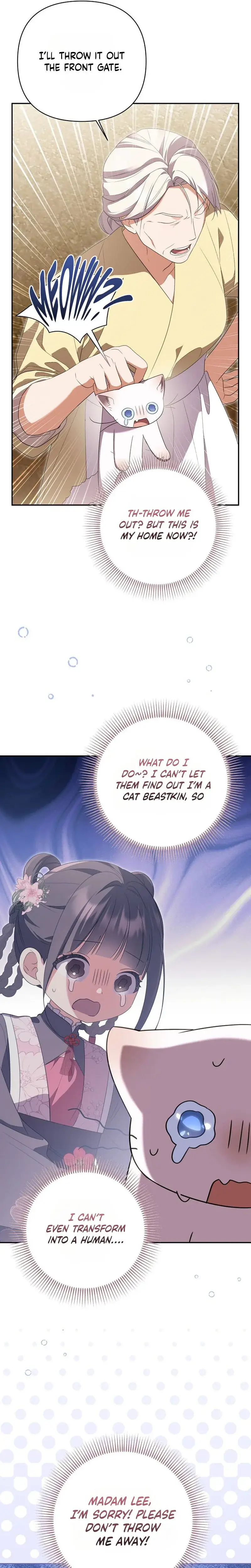 Image page 7