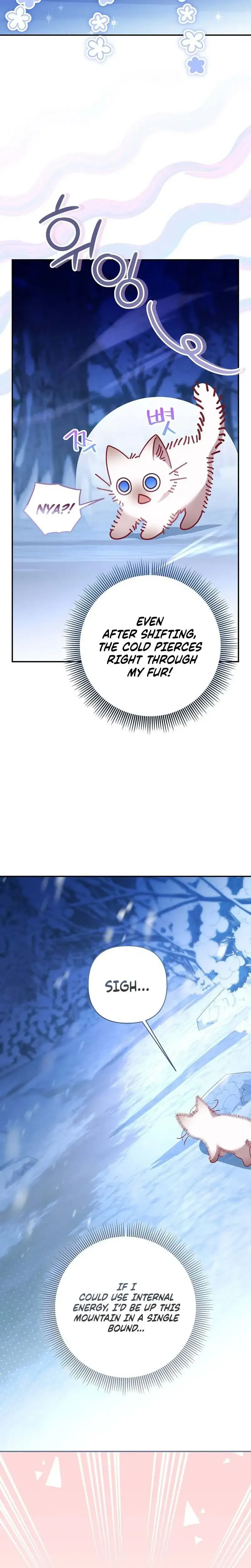 Image page 7