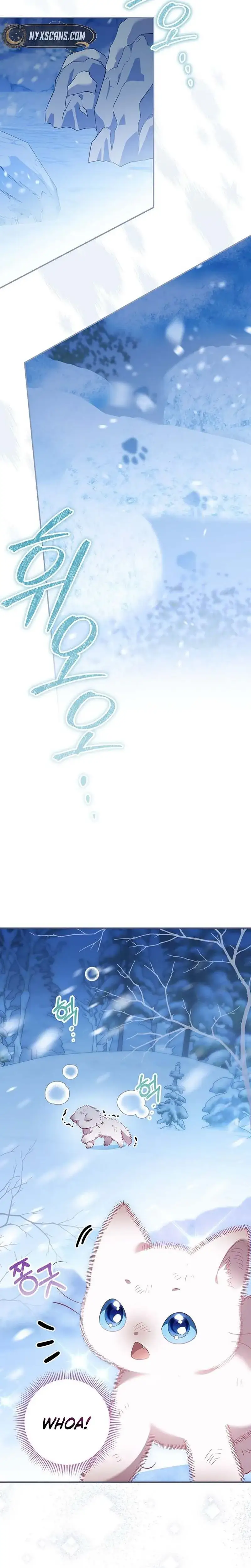 Image page 9
