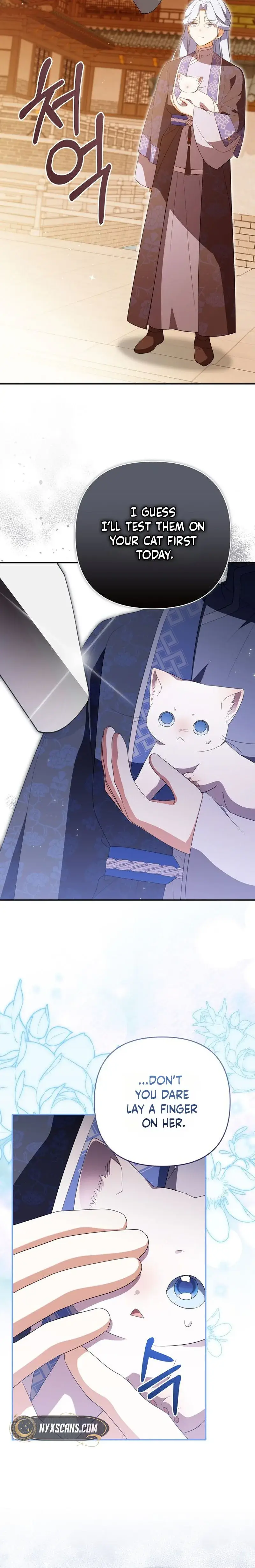 Image page 16
